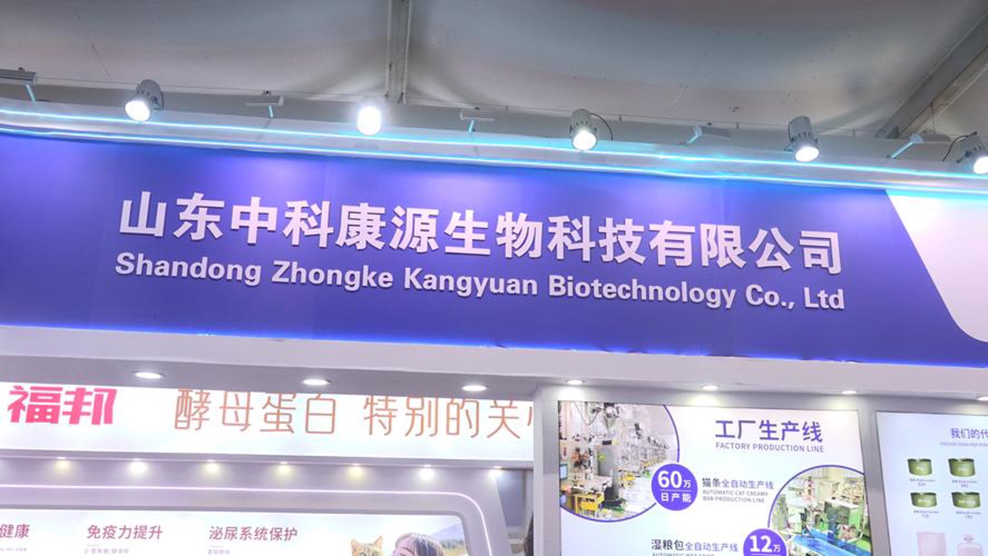 捷蛰网络科技